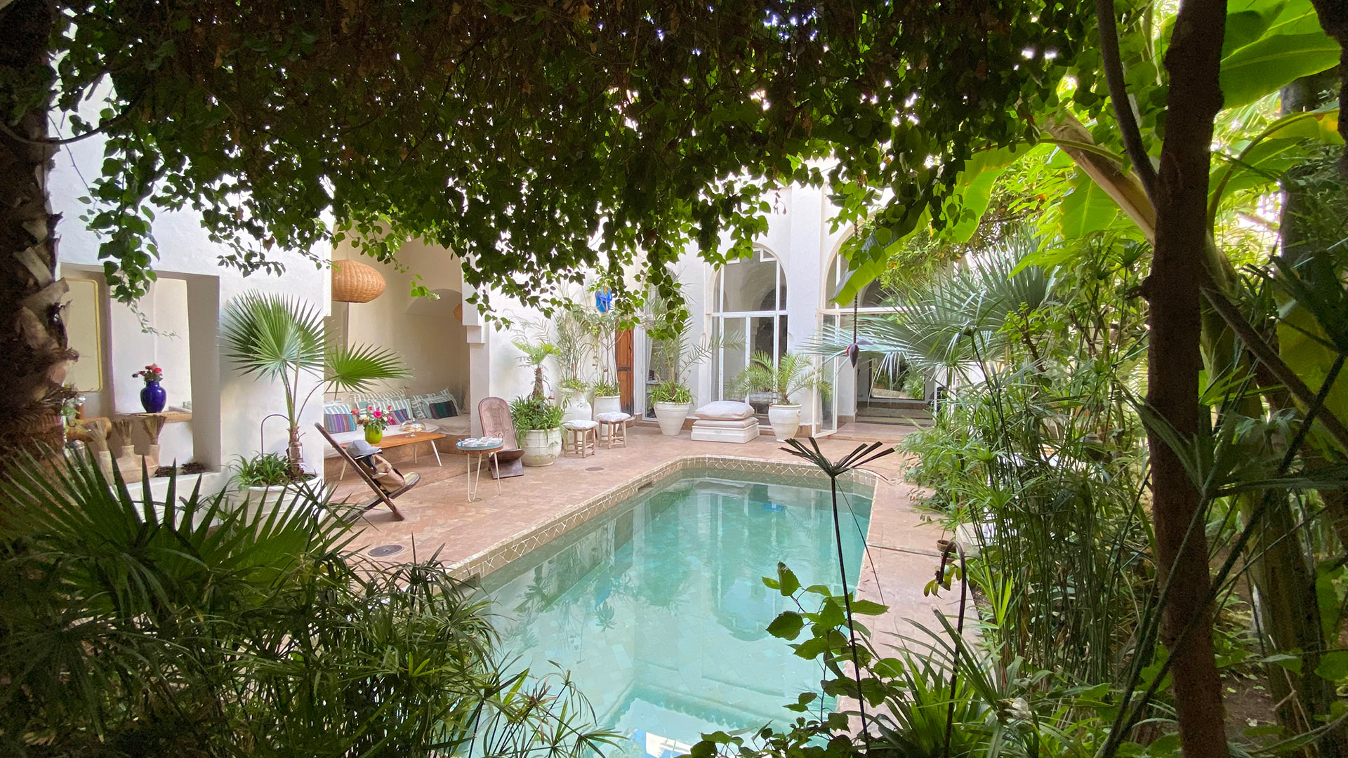Dar Z5 courtyard pool surrounded by lush greenery