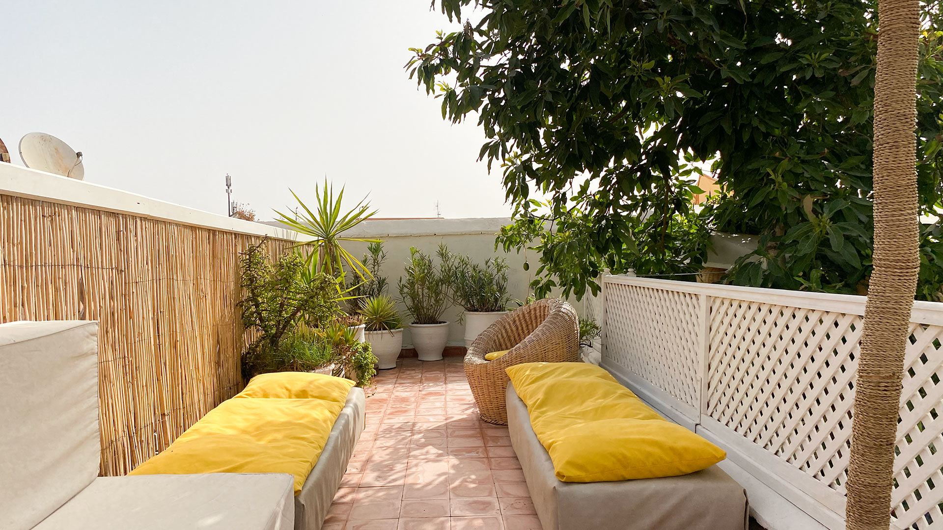 Rooftop terrace with yellow cushions