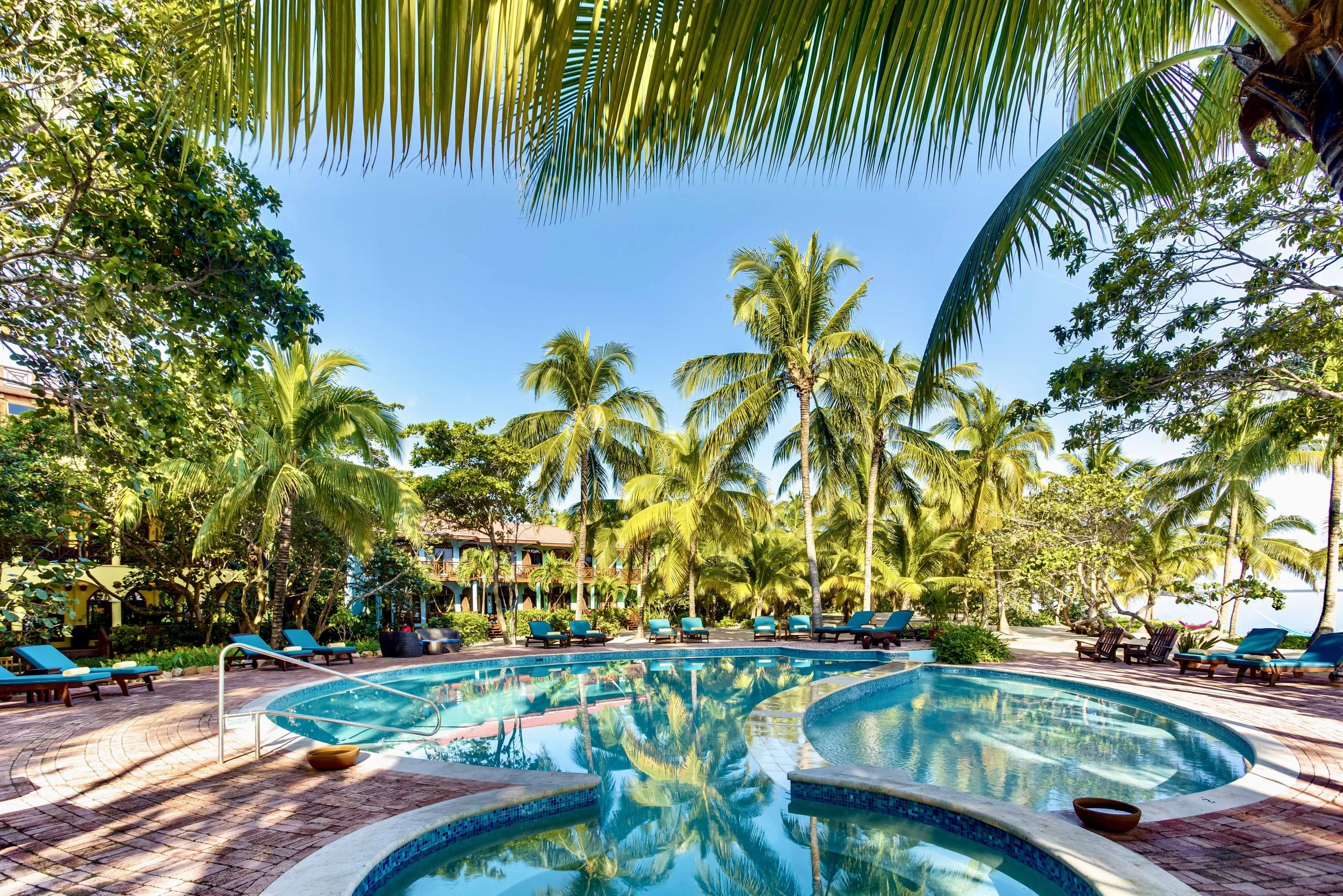 Resort pool surrounded by palm trees and lounge chairs