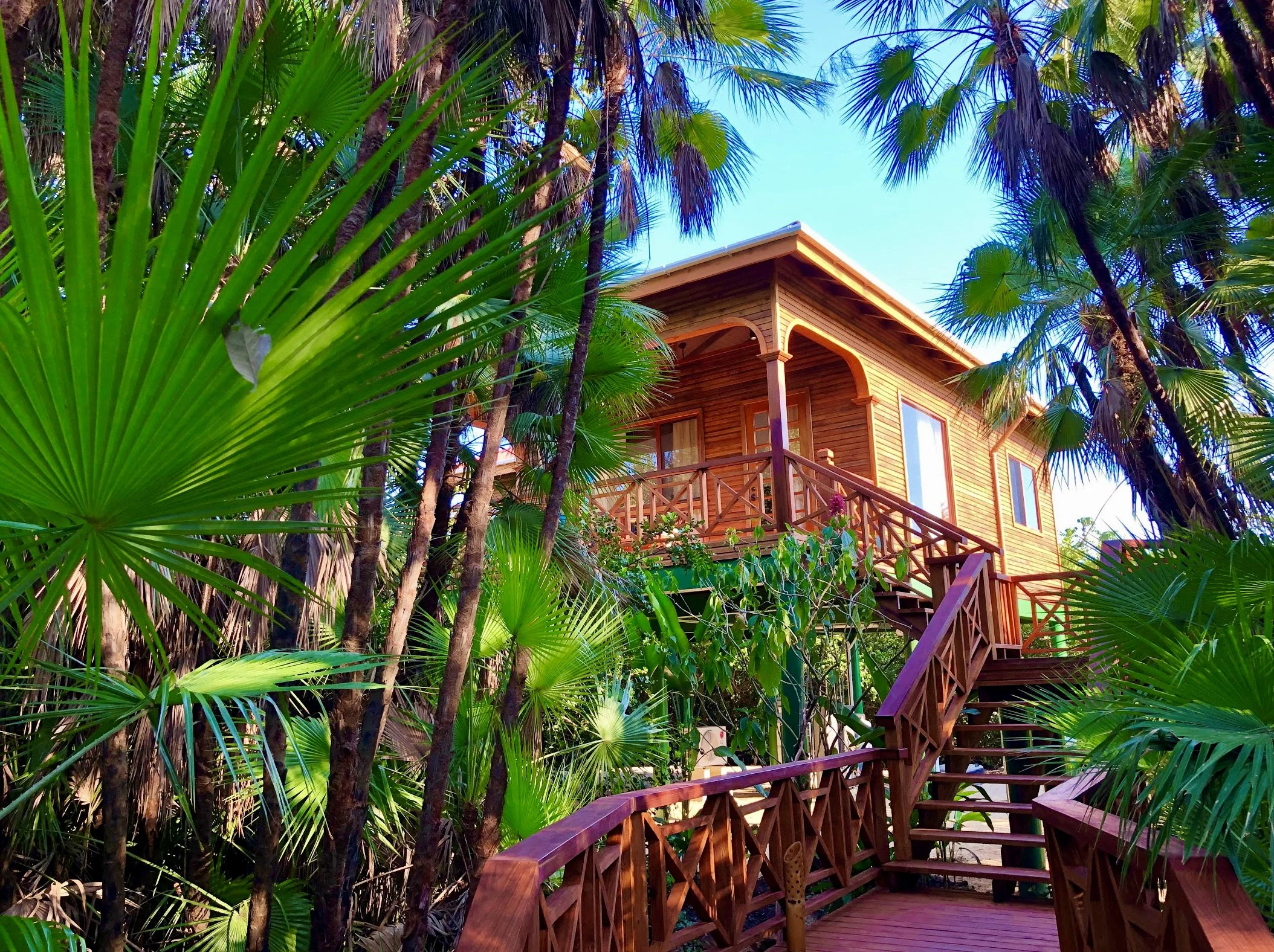 Deluxe treehouse nestled in tropical palm forest