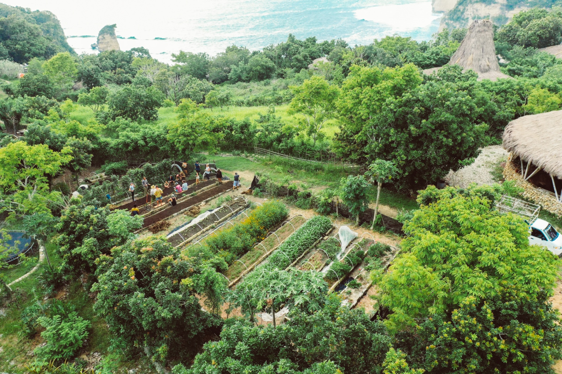 Permaculture gardens at Ngalung Kalla