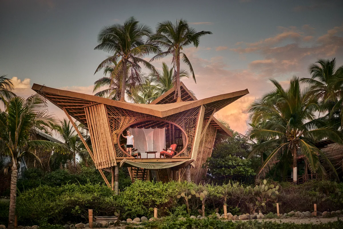 Star-shaped Mantas bamboo villa rising from the jungle at dusk