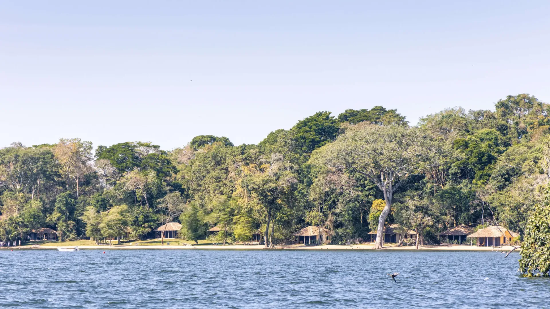 Rubondo Island Camp aerial view