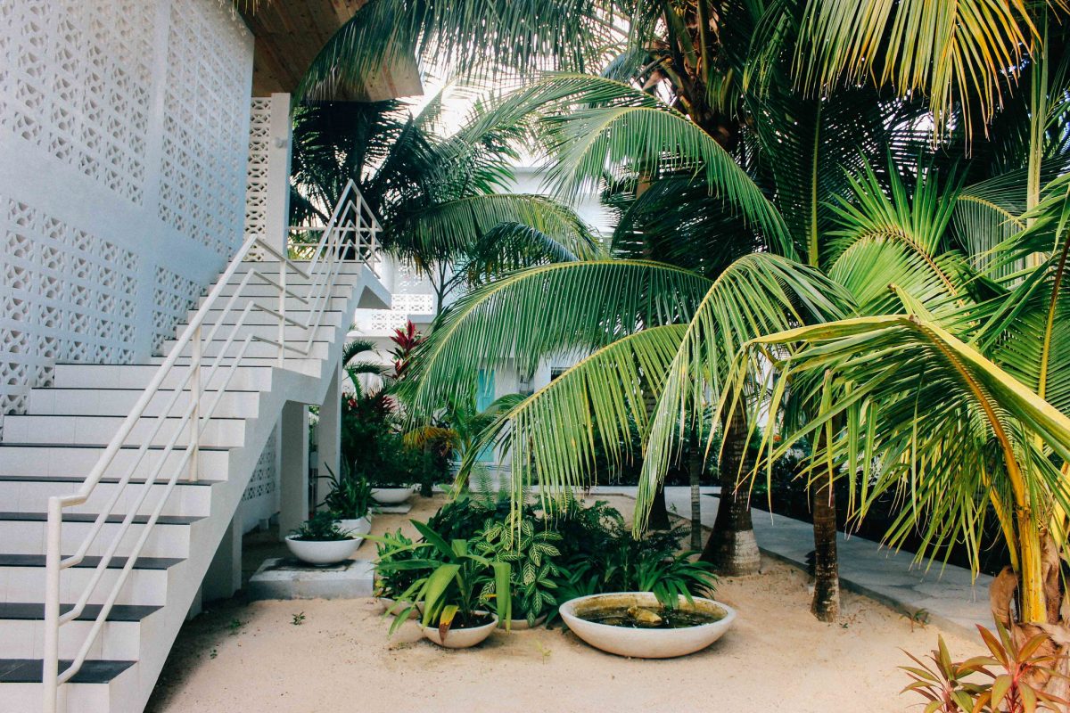 Skylark courtyard with white breeze-block staircase and palm trees