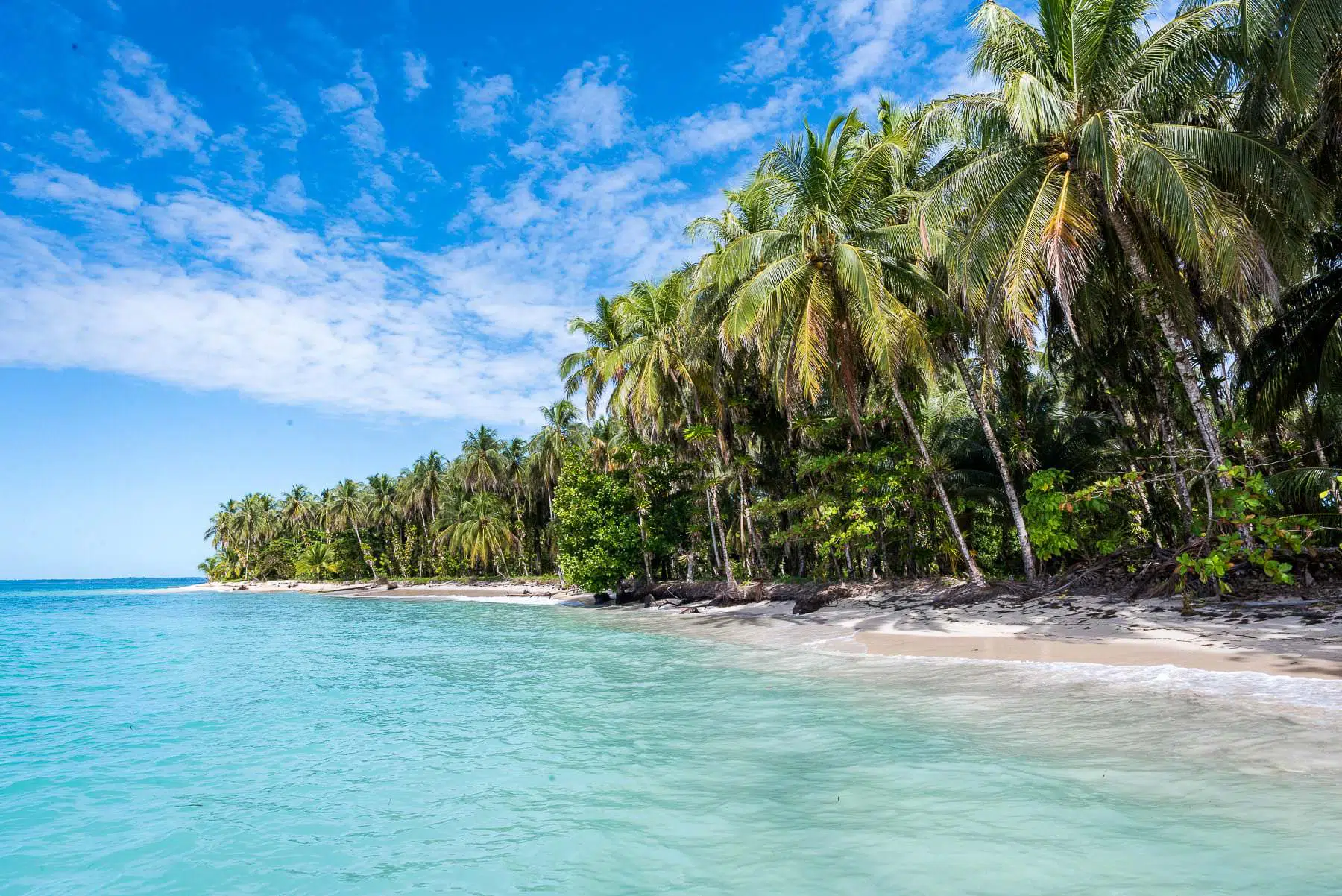 Pristine Caribbean beach with turquoise water and palm trees at Tranquilo Bay