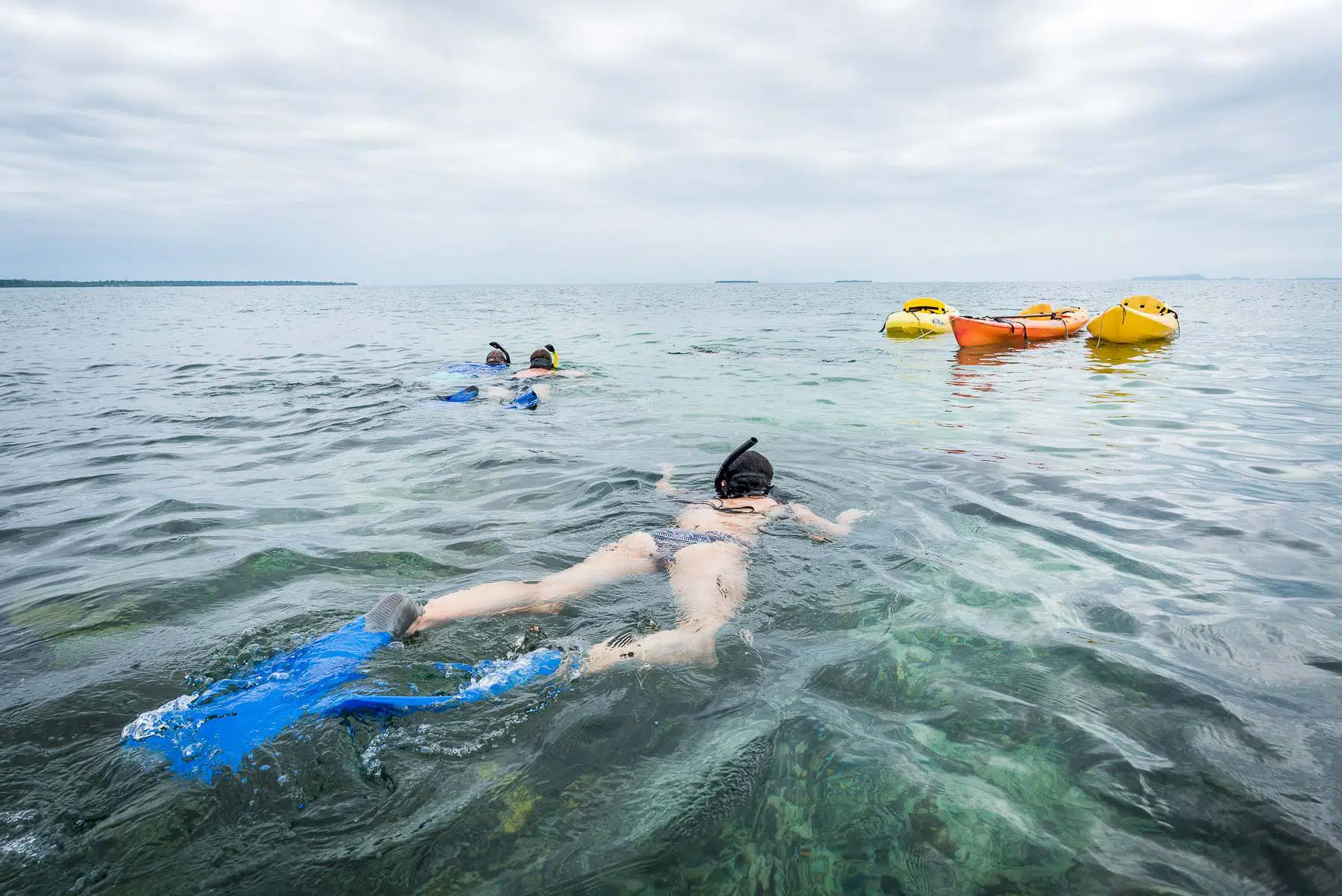 Snorkeling above coral reefs in clear Caribbean waters