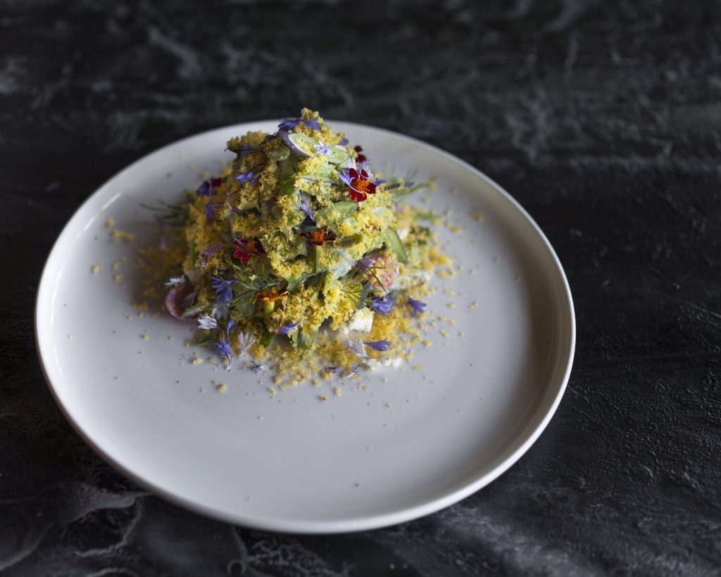 Vegan-Friendly Restaurants