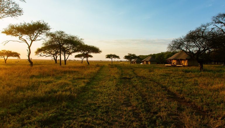 03-Cherero-Camp-Great-Wildebeest-Migration-in-Serengeti-Musabi-Plains